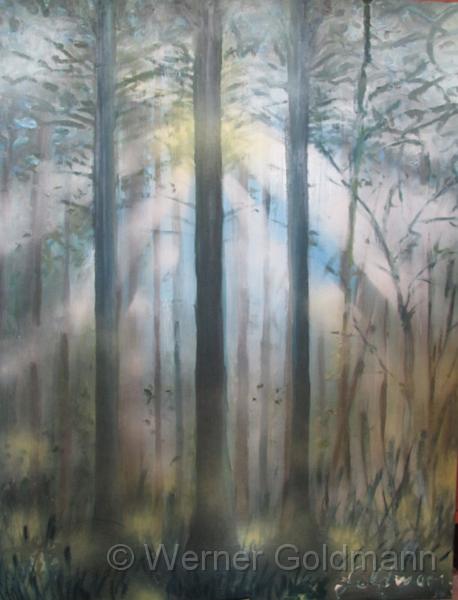 Herbststimmung im Wald (80x100)cm.jpg - Herbststimmung im Wald / Mood of Autumn in the forest (80x100)cm - Öl auf Leinwand - Kunstwettbewerb in Bovenden, November 2013